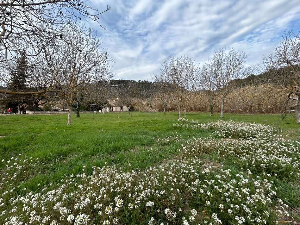 Terrain à LA MOTTE