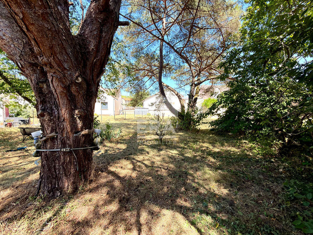 Terrain 504m² à bourron-marlotte - photo 8