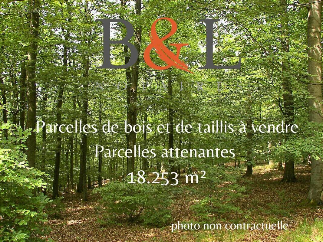 Terrain à SAINT-JULIEN-DU-SAULT