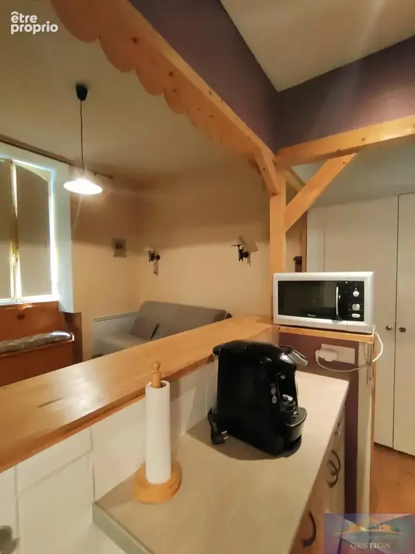 Studio centre ville / 21 m2 / vue montagne - photo 7