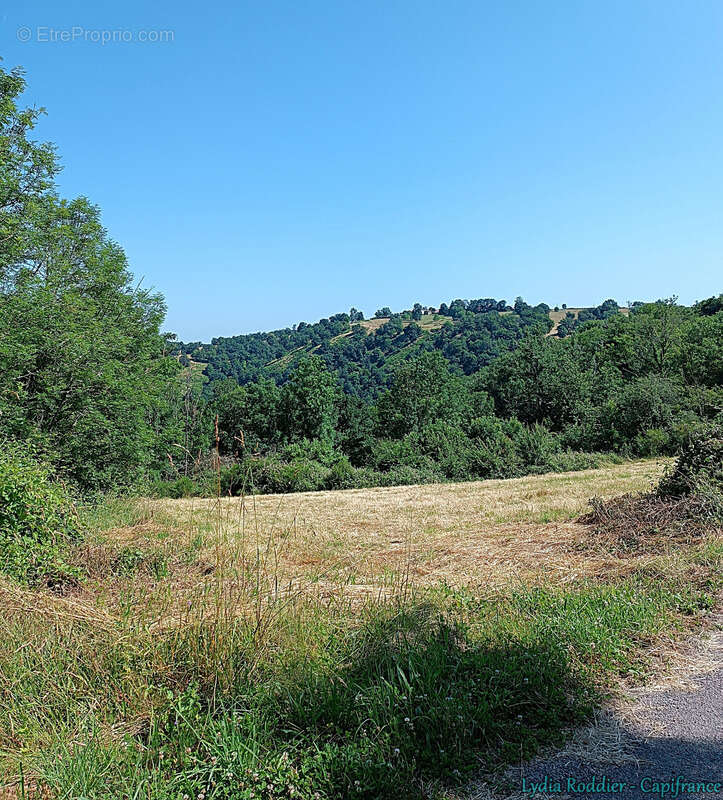 Terrain 4580m2 SAUVIAT-63120 secteur très calme et naturel - photo 5