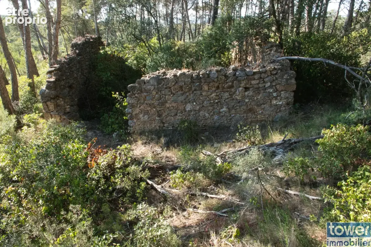 Fabrezan-Terrain 4 ha non constructible en Zone Naturelle - photo 6