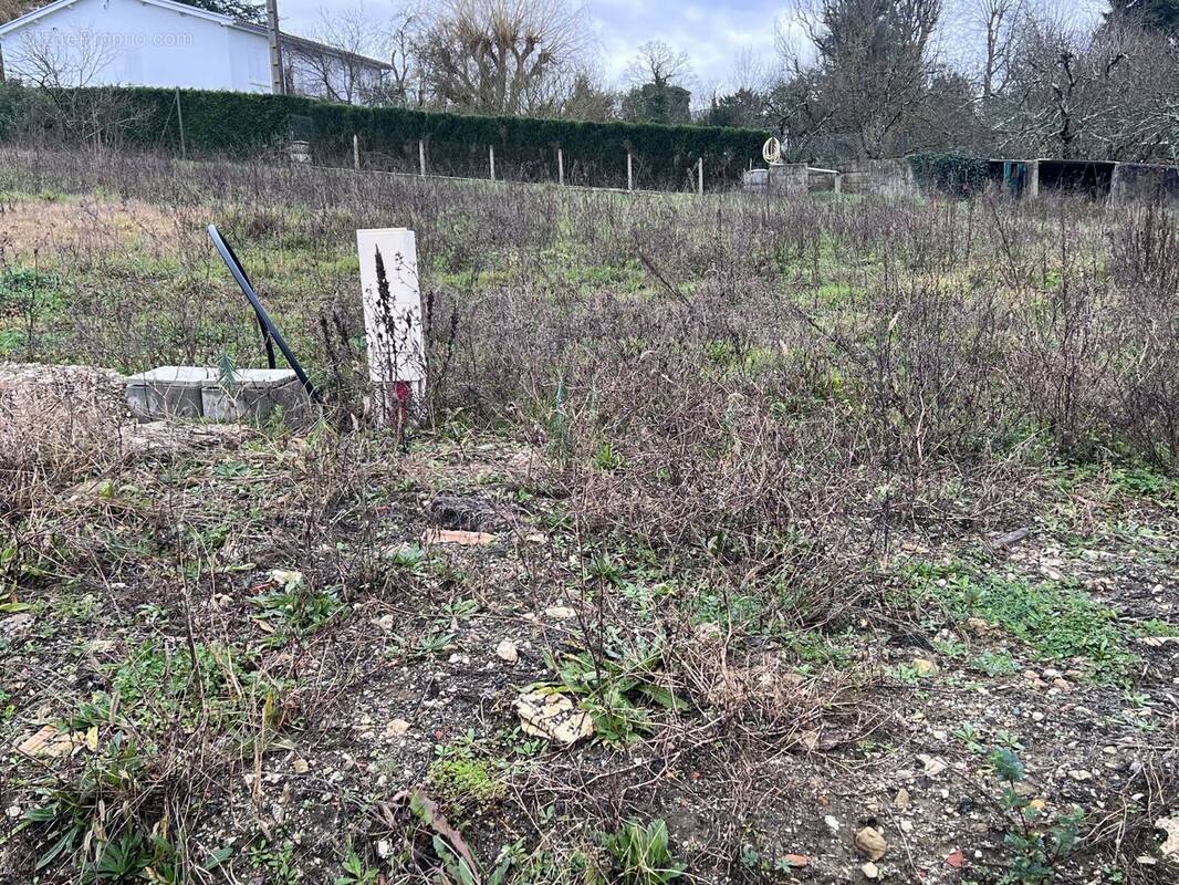 Terrain à ANGOULEME