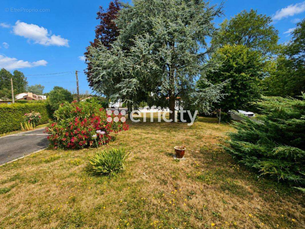 Maison 180 m² à Basse-Goulaine  - photo 16