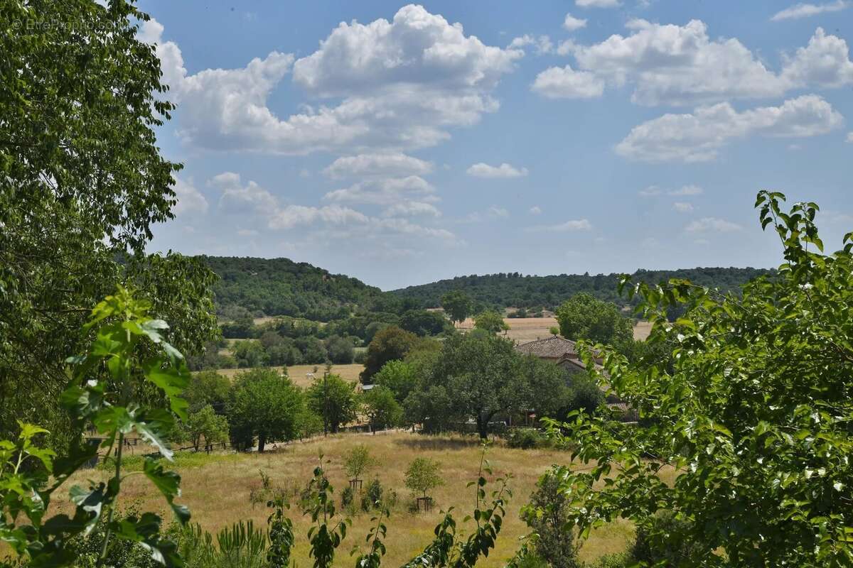 Mas de caractère dans l'un des Plus Beaux Villages de France - photo 17