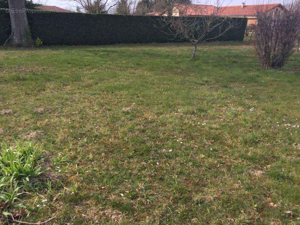 Terrain 725 m² à Pressiat  - photo 3