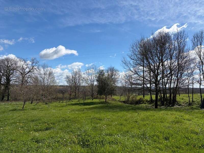 PLAISANCE DU GERS(32) sur les coteaux, PROPRIETE D ARCHITECTE 1965 sur 2HA, Dépendances, un peu cachée , VUE Pyrénées et bois, s - photo 60