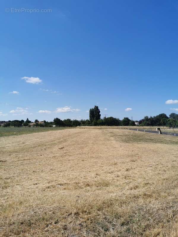Terrain 300 m² à Nieulle-Sur-Seudre  - photo 2