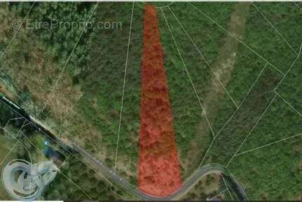 Terrain à SAINT-CYBRANET