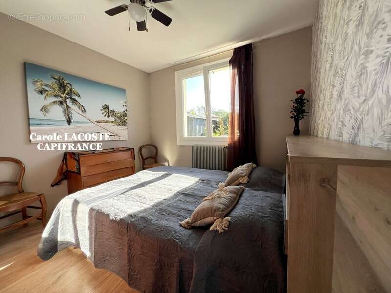 Maison à VILLENEUVE-TOLOSANE