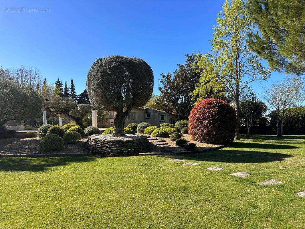 Maison à SAINT-REMY-DE-PROVENCE