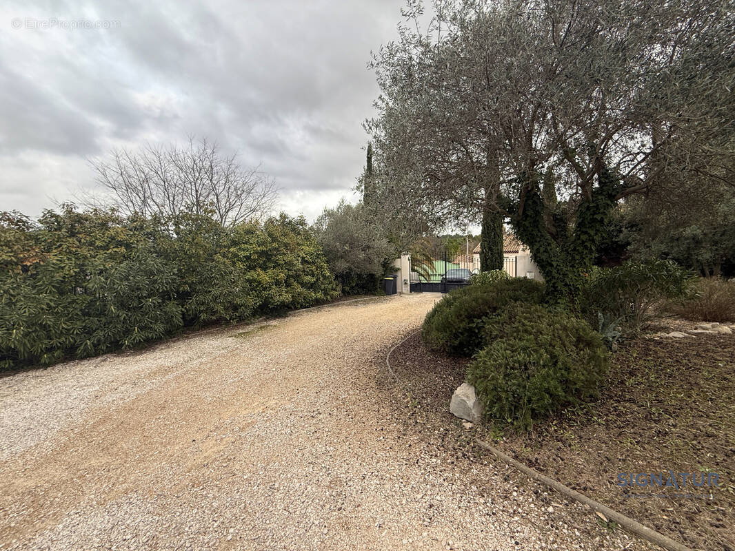 Terrain à CASTELNAU-LE-LEZ