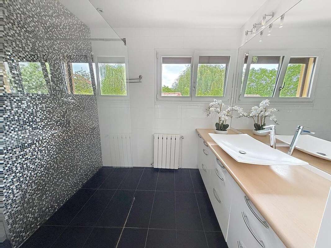 Photo 9 - Maison à CHARAVINES