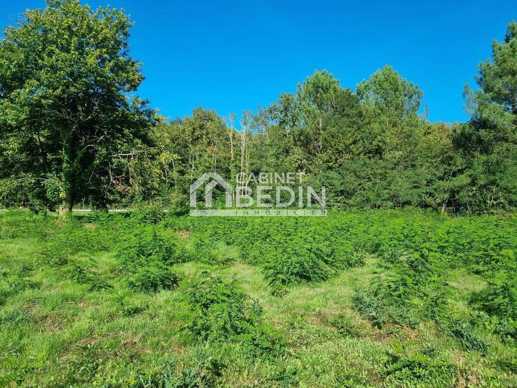 Terrain à SAINT-AUBIN-DE-MEDOC