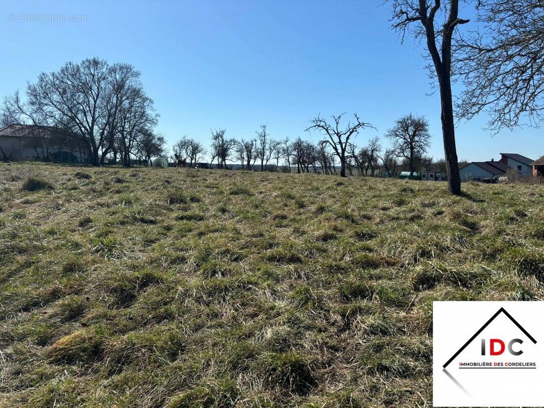 Terrain à SARREBOURG