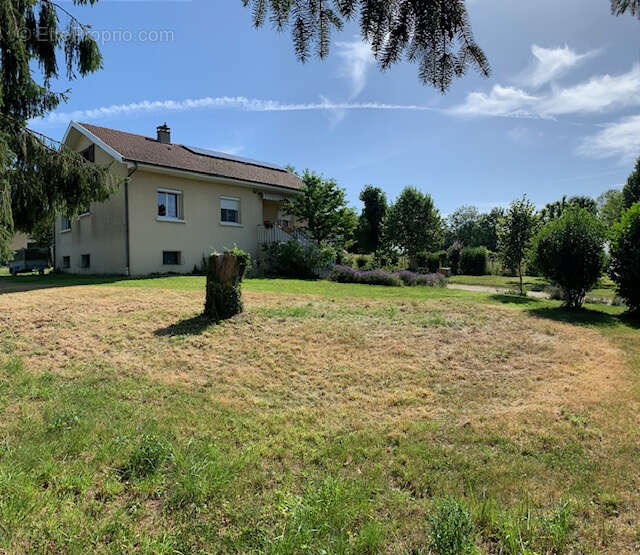 Maison 3ch, sous_sol, combles amenageables - photo 11
