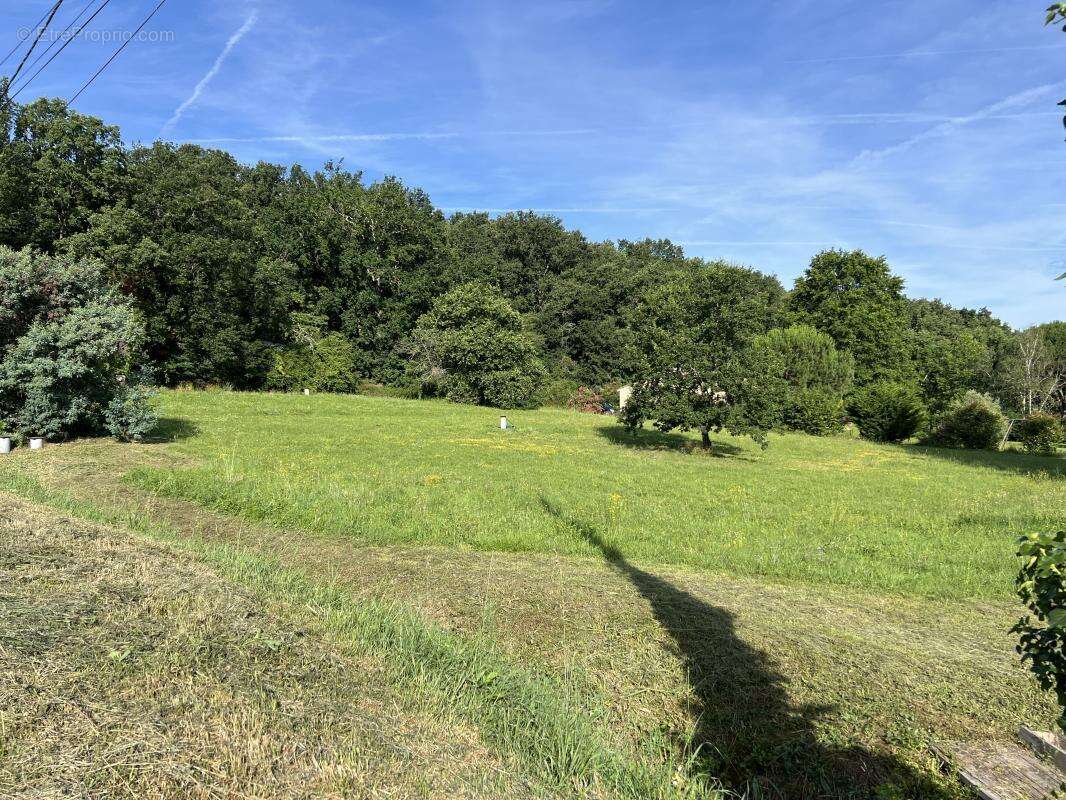 Terrain à SAINT-AIGNAN