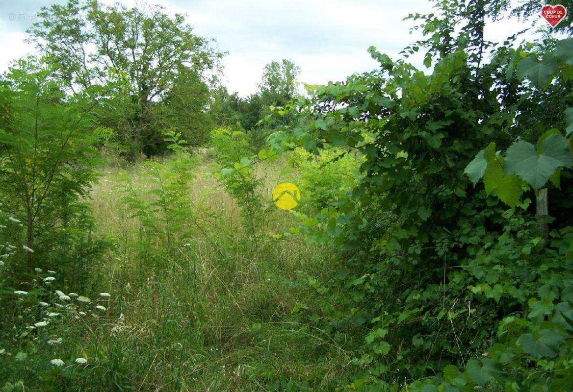 Terrain à BOURGES
