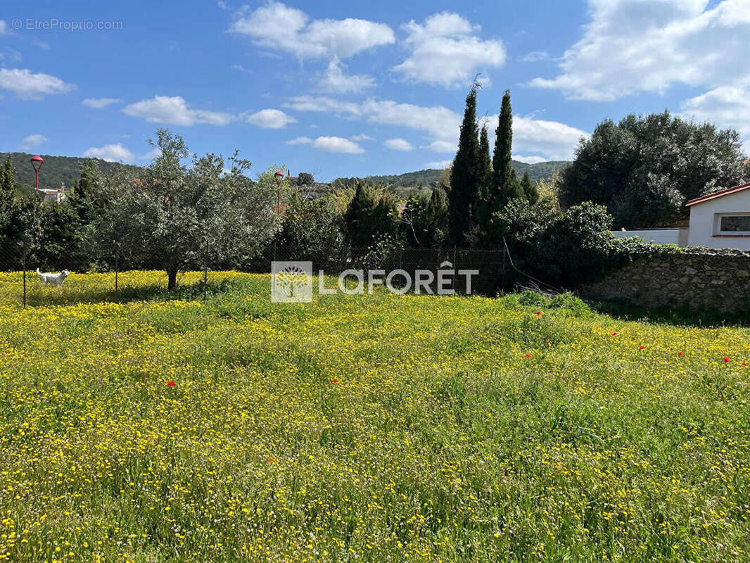 Terrain à MAUREILLAS-LAS-ILLAS