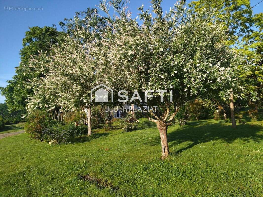 Maison 160 m² à Montignac  - photo 9