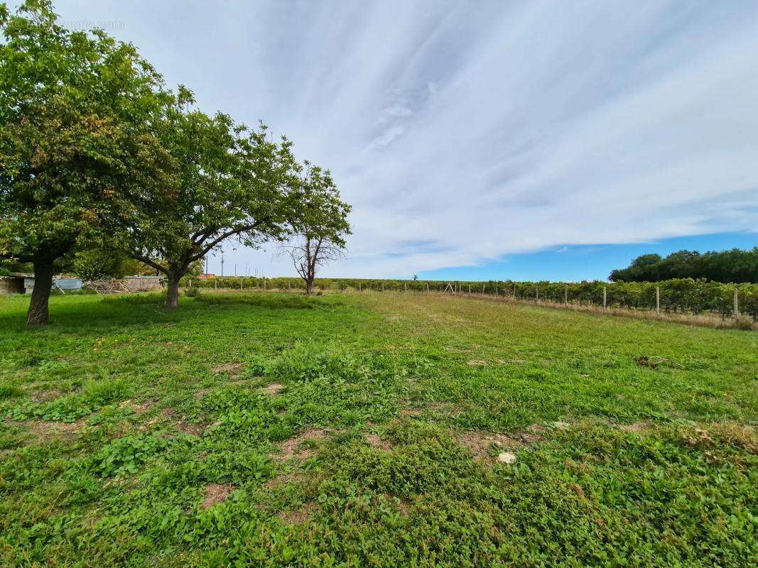 Maison à BRIE-SOUS-MATHA