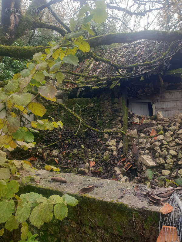 Maison à SAINT-BONNET