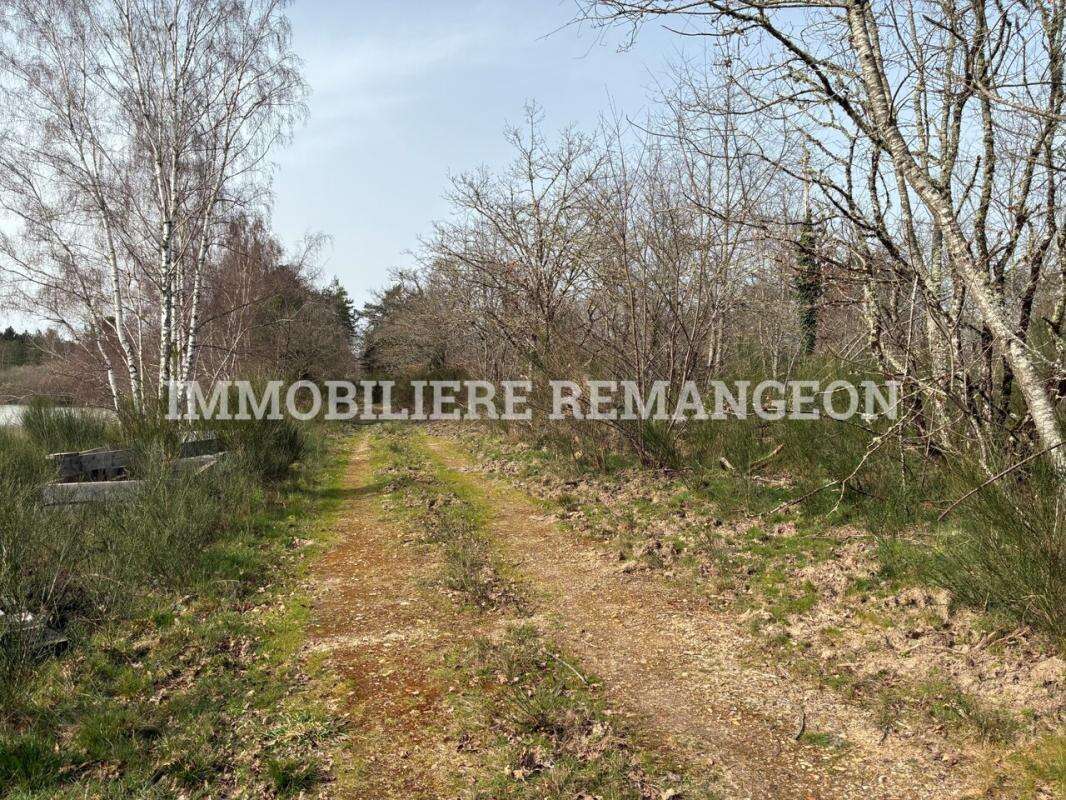 Maison à LAMOTTE-BEUVRON