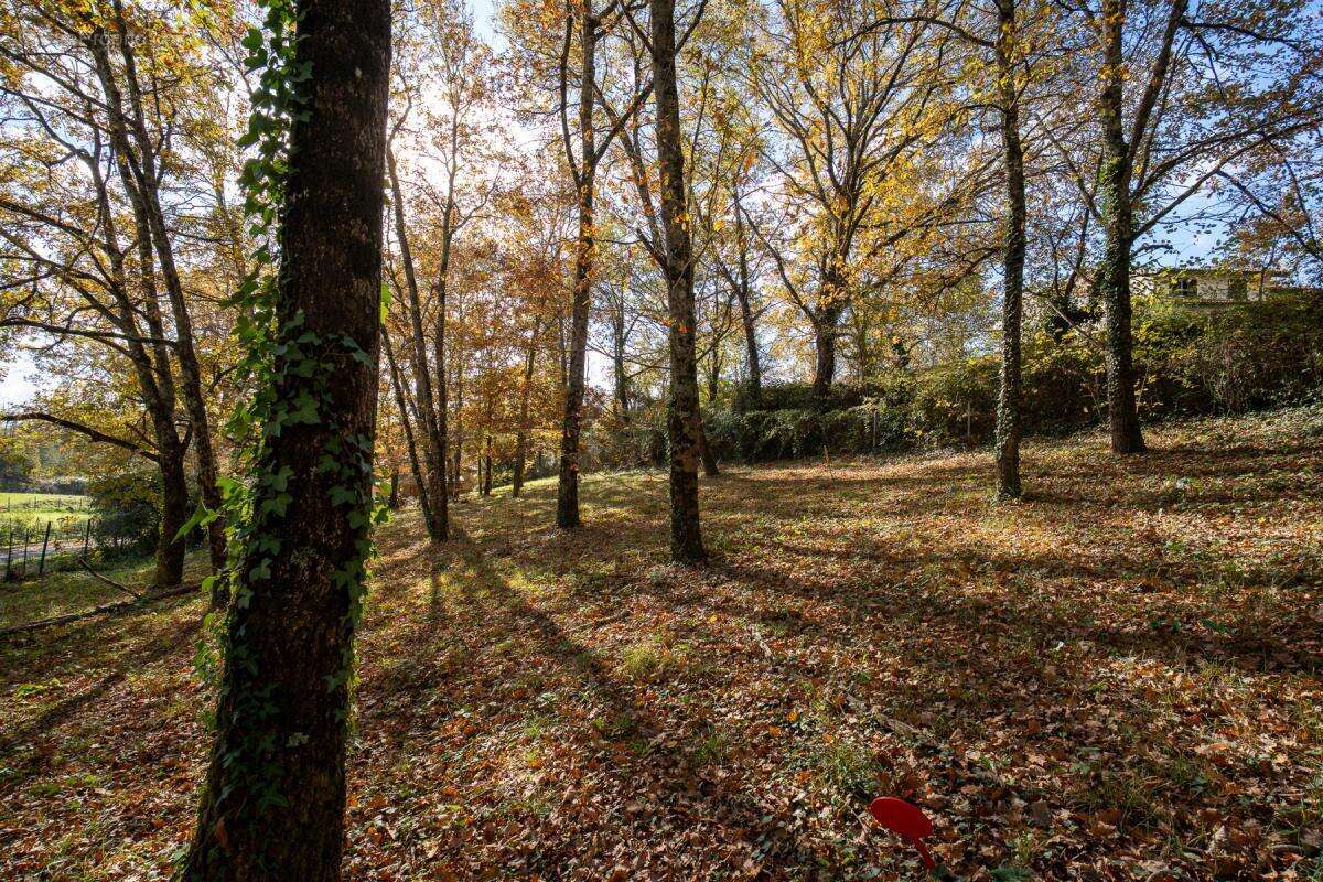 Maison à ROUFFIAC-TOLOSAN