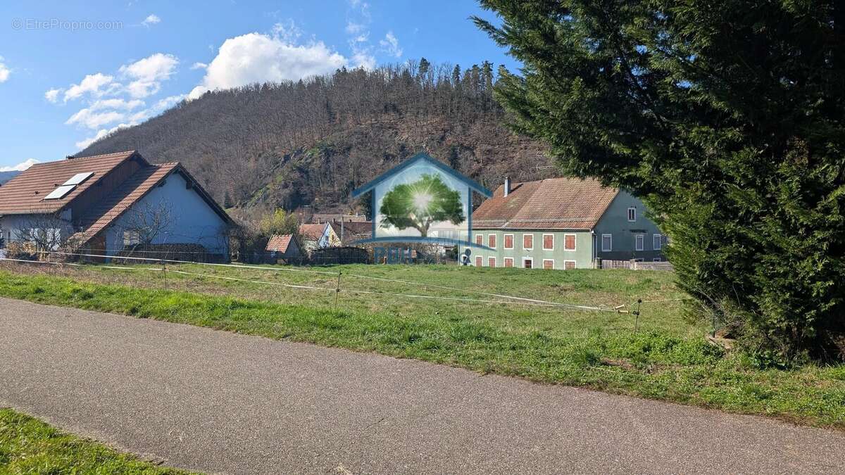 Terrain à SAINTE-MARIE-AUX-MINES