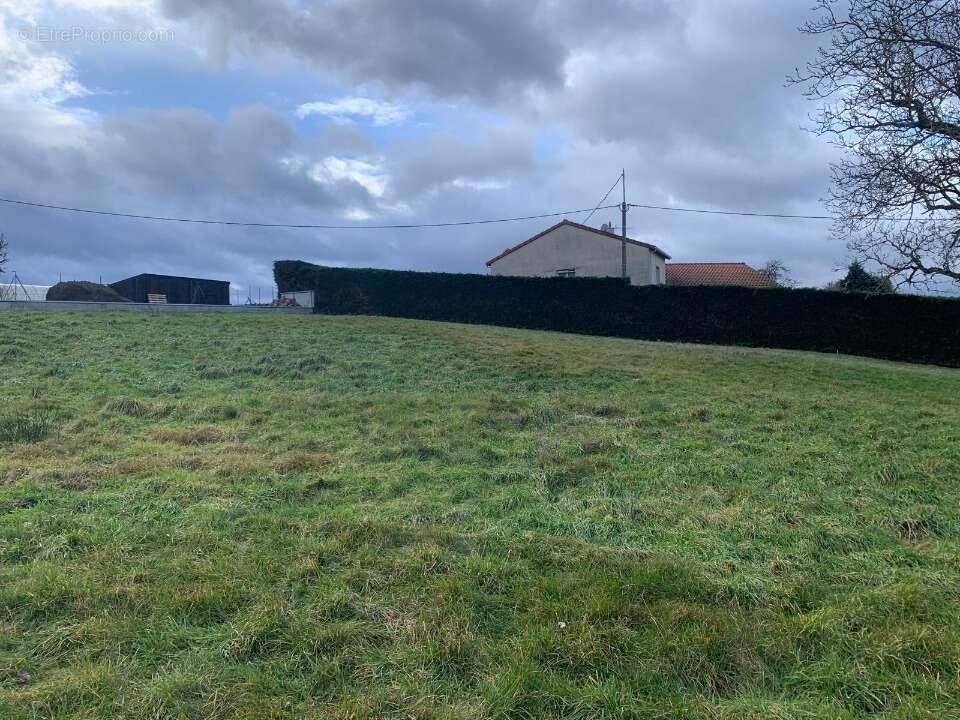 Terrain 850 m² à Monistrol-Sur-Loire  - photo 2