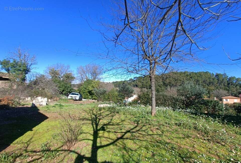 Terrain à LE THORONET