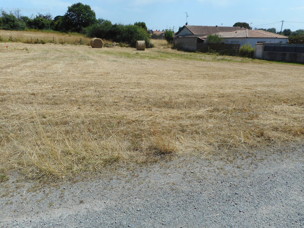 Terrain à SAINT-MICHEL-CHEF-CHEF