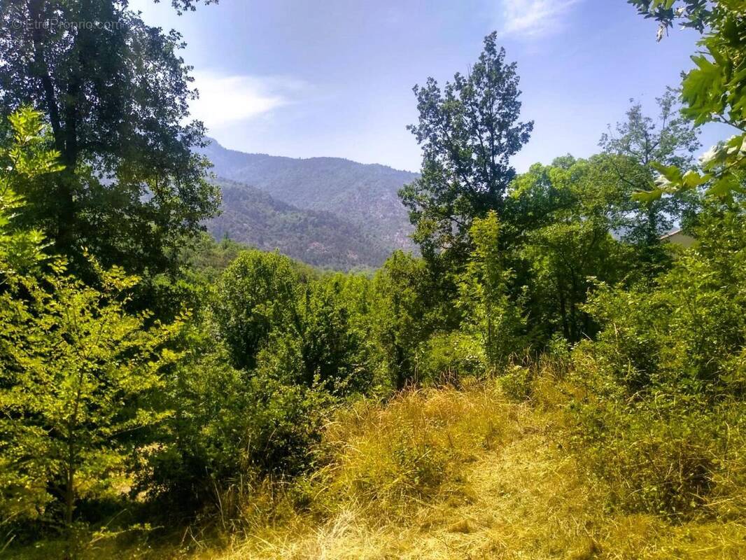 Photo 1 - Terrain à RIA-SIRACH