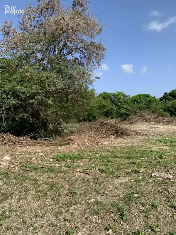 Exclusivite terrain constructible a letaye st francois - photo 2