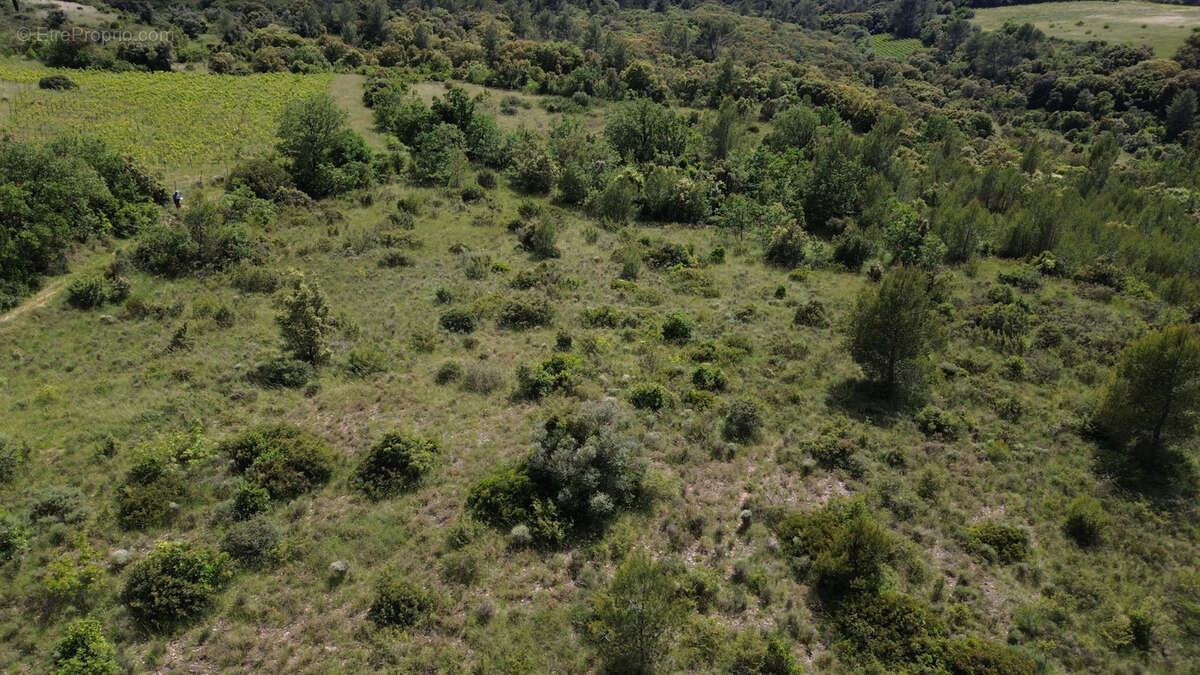 Terrain à PUECHABON