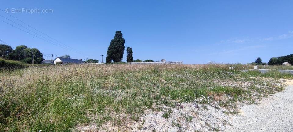 Terrain à LA MEMBROLLE-SUR-LONGUENEE