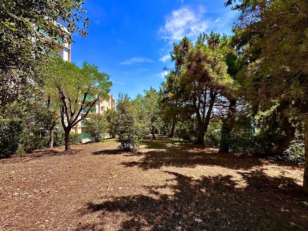 Marseille 13ᵉ, Saint Mitre, T4 de 80m2 entièrement refait à neuf avec terrasse, balcon et vue sur Parc Arboré - photo 8