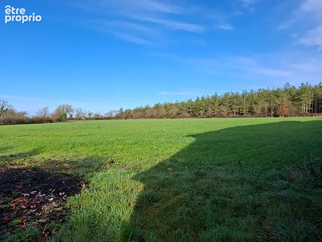 Maison Martigne Ferchaud 6 pièce(s) 177 m2 - photo 6