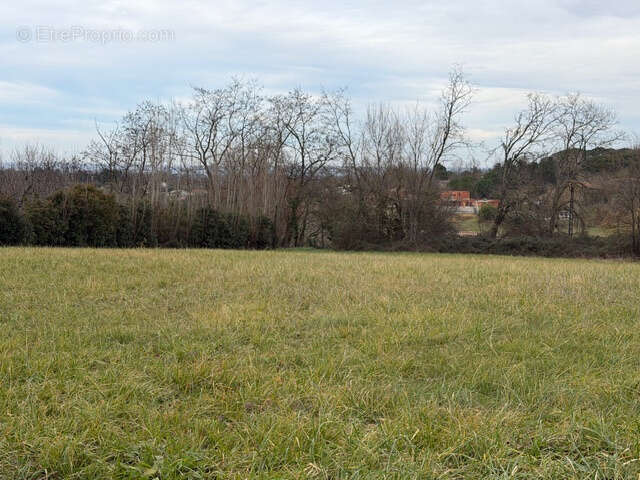 Terrain à MONTAUBAN