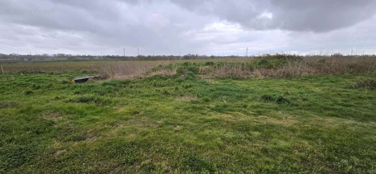 Maison à CHAVAGNES-EN-PAILLERS