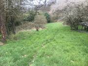 Terrain à RAIZEUX