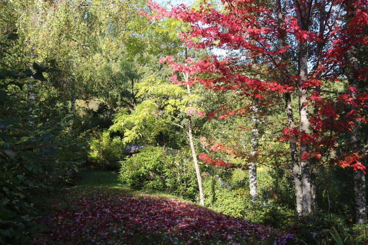 Maison à CUSSY-EN-MORVAN