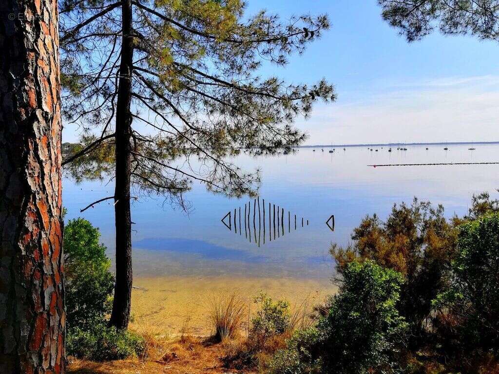 Commerce à LARTIGUE