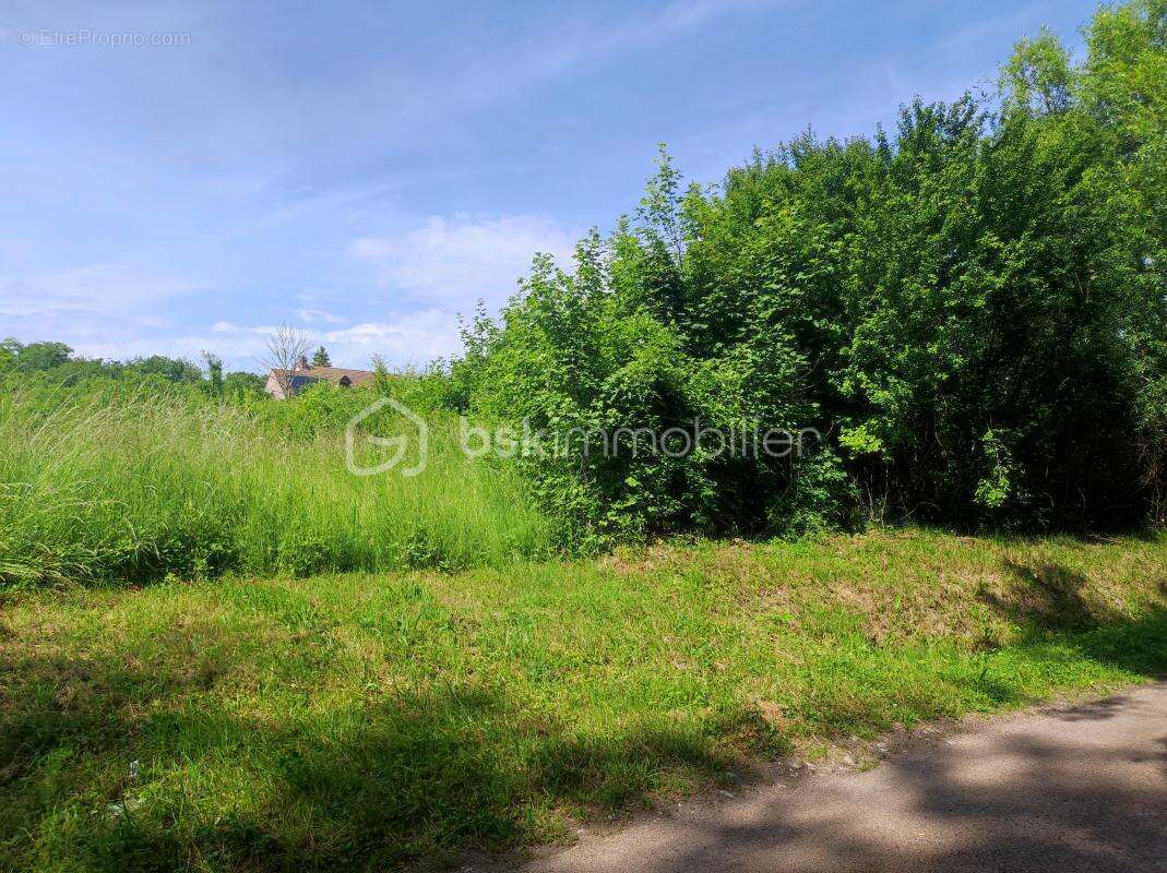 Terrain à SAINT-FLORENTIN