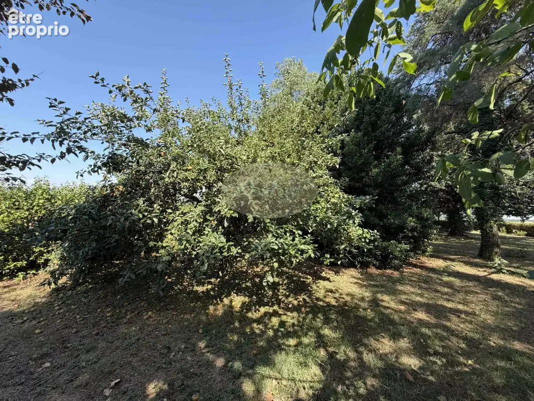 Maison 157 m² à Ordonnac  - photo 22