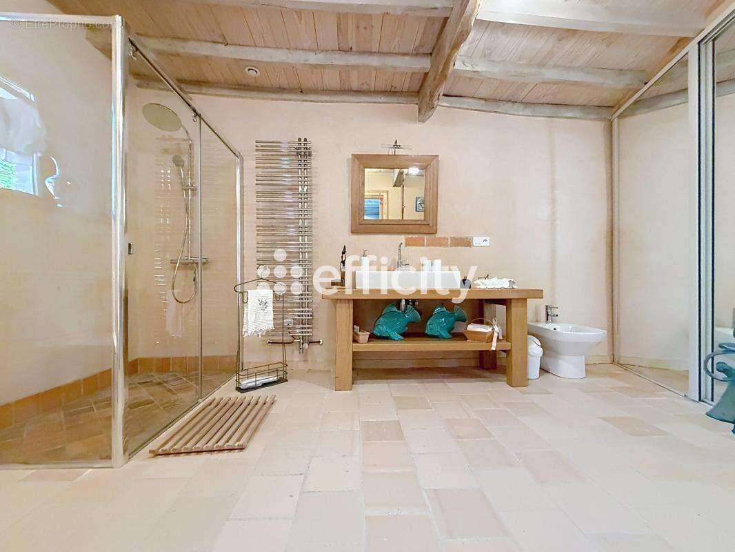 Maison 380 m² à Courpiere  - photo 12