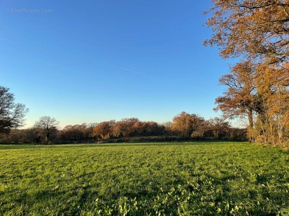 Terrain à ARGENTON-SUR-CREUSE