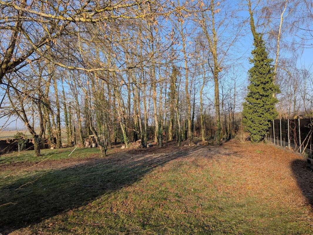 Photo 7 - Maison à MONT-BERNANCHON