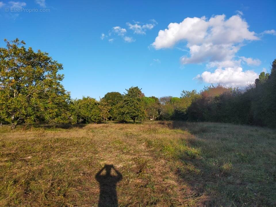 Terrain à LES METAIRIES