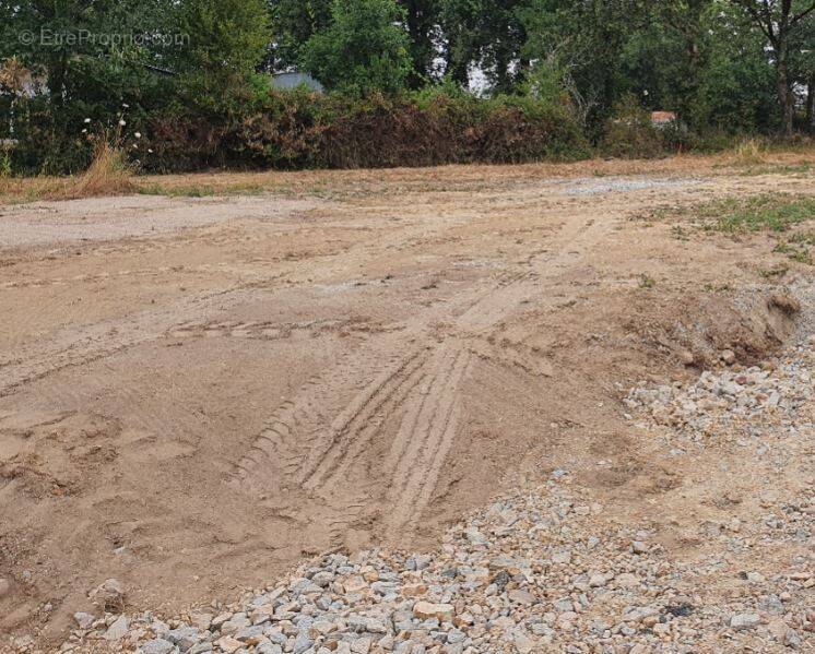 Terrain à LA ROCHE-SUR-YON
